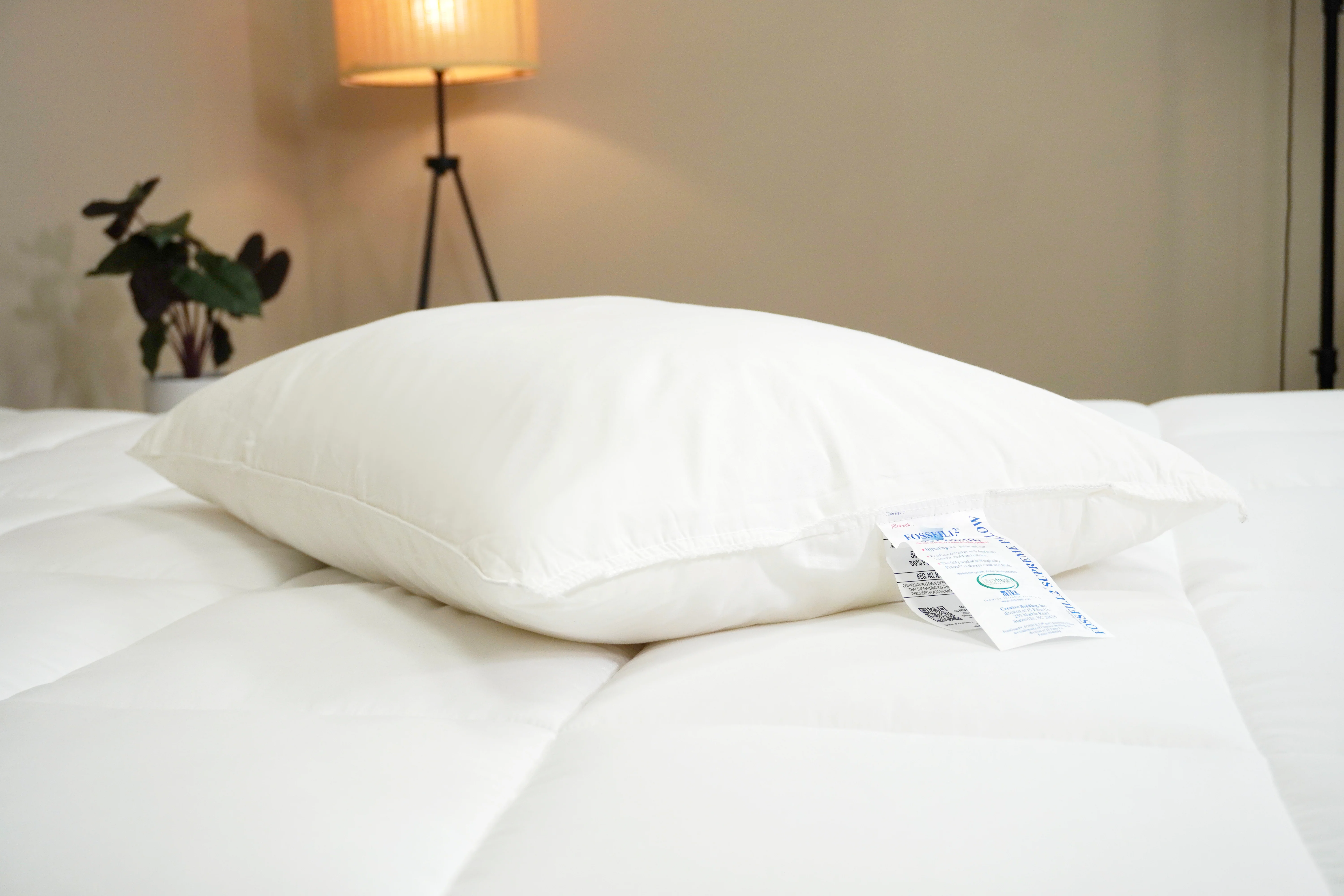 Creative Bedding Fossfill Pillow | Antibacterial