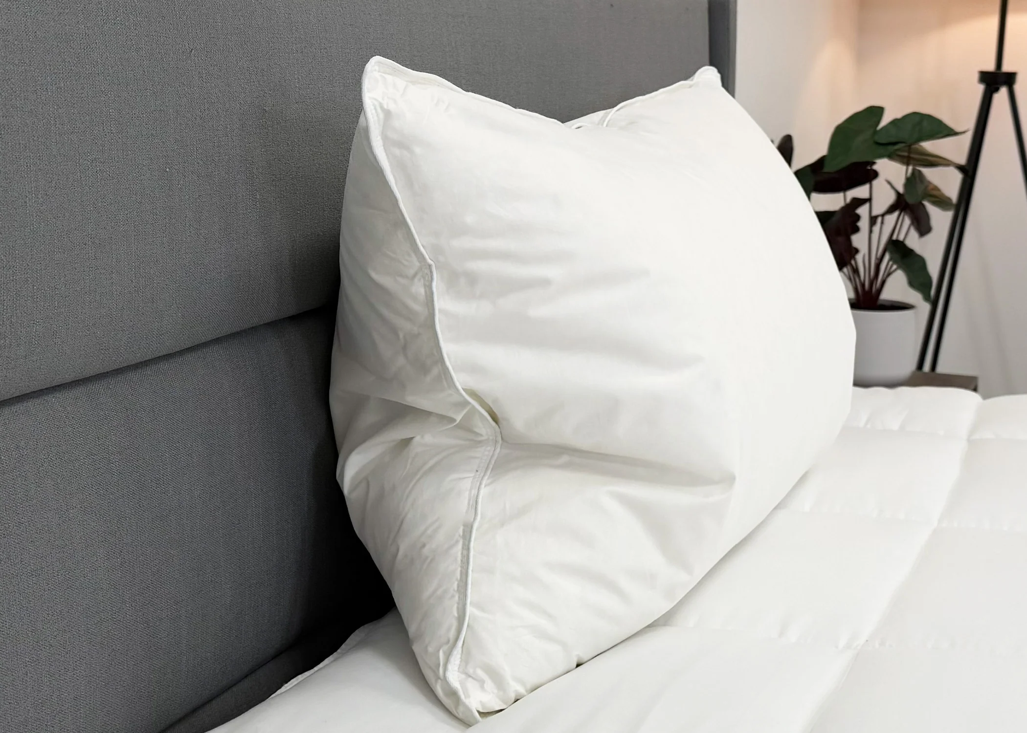 Down Etc. 50% White Goose Down / 50% White Goose Feather Pillow - Image 4