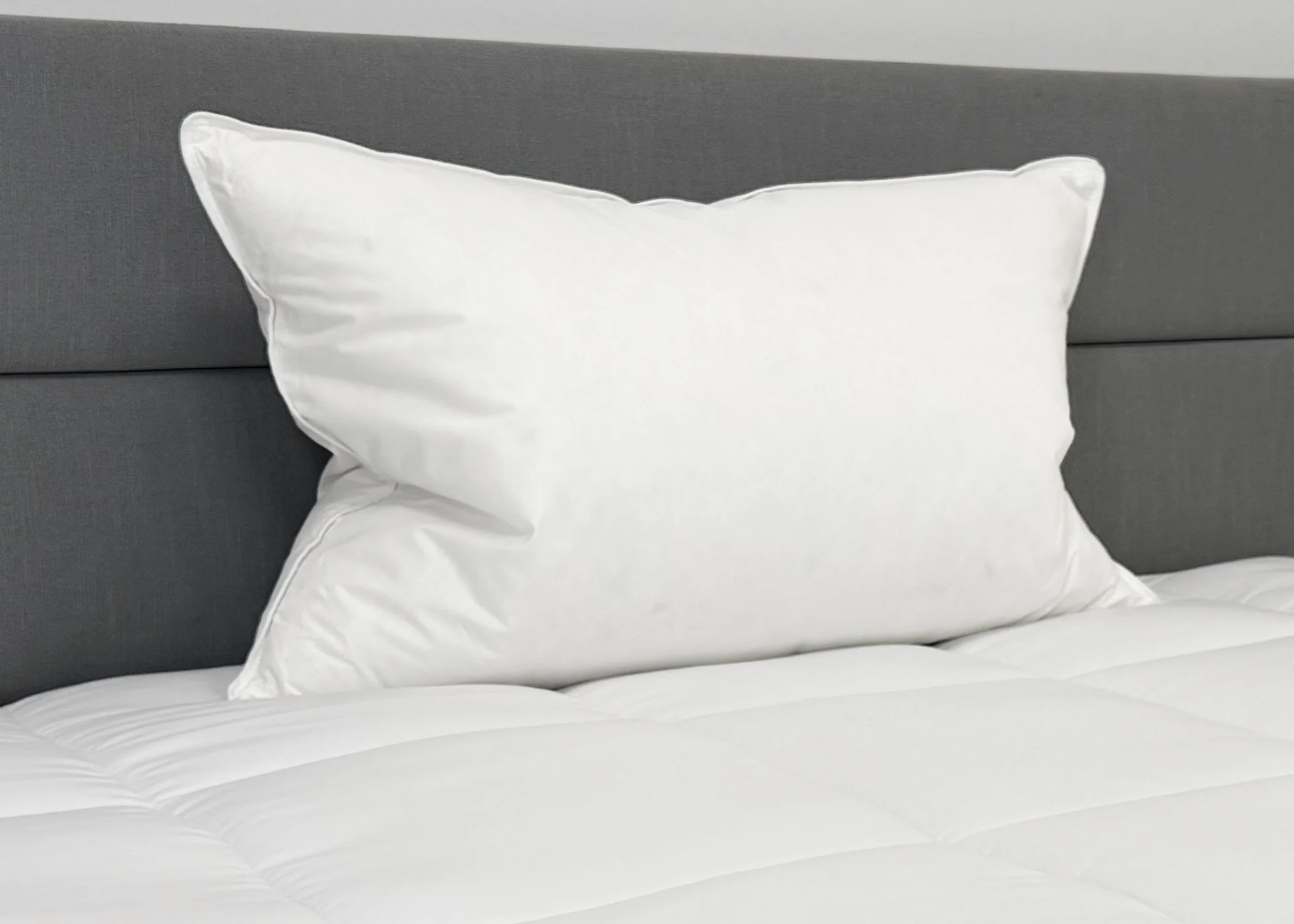 Down Etc. 50% White Goose Down / 50% White Goose Feather Pillow - Image 5