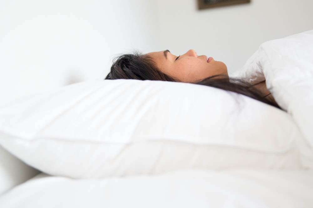 Down Etc. 50% White Goose Down / 50% White Goose Feather Pillow - Image 9