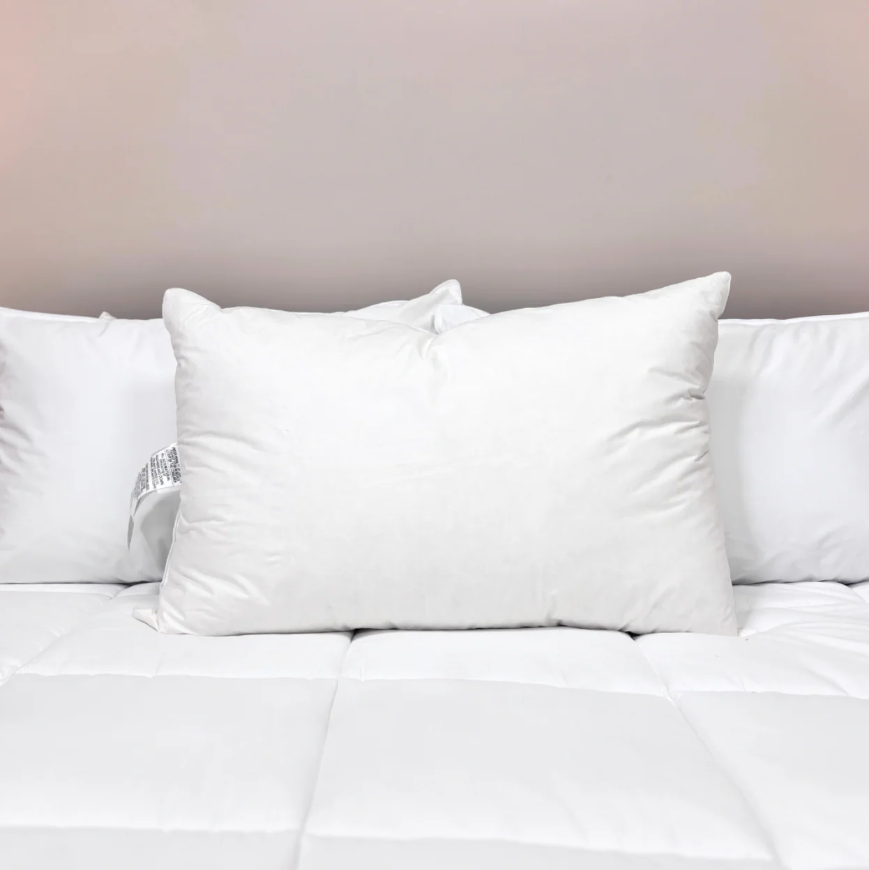 Downlite 75/25 Waterfowl Feather/ White Down Pillow