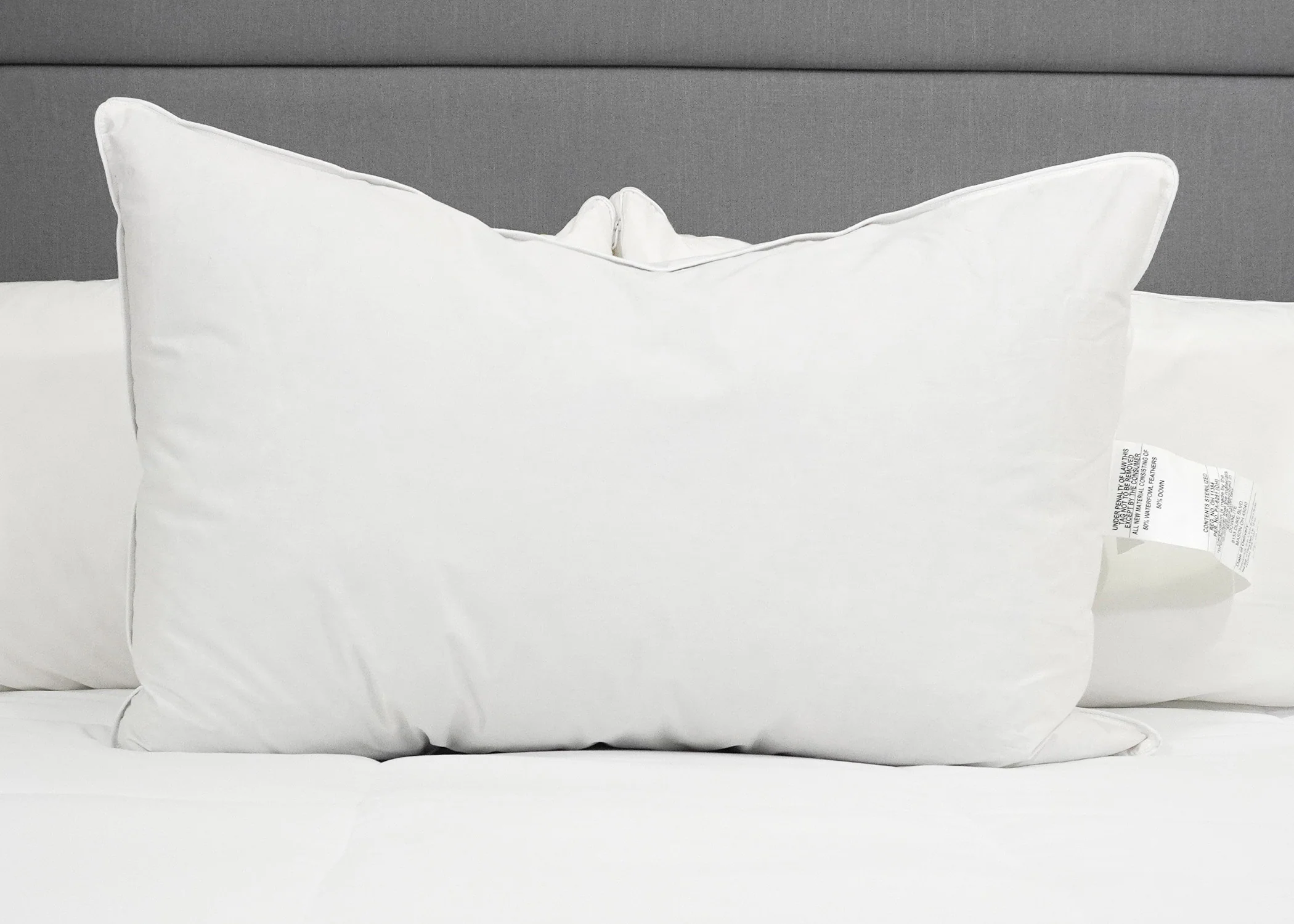 Downlite 50/50 Waterfowl Feather/Grey Down Pillow