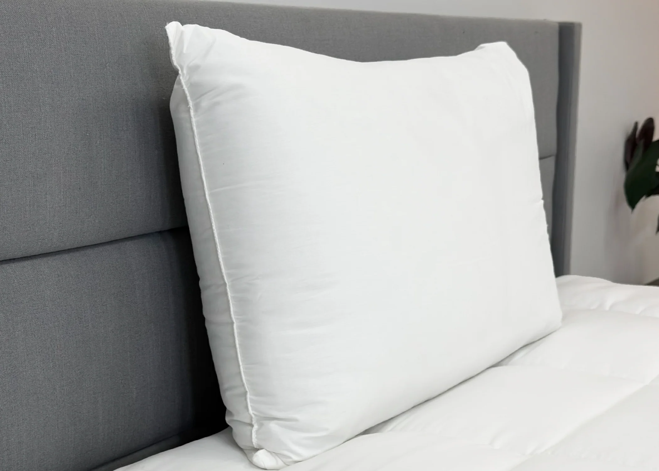 Envirosleep Dream Support Pillow - Image 5