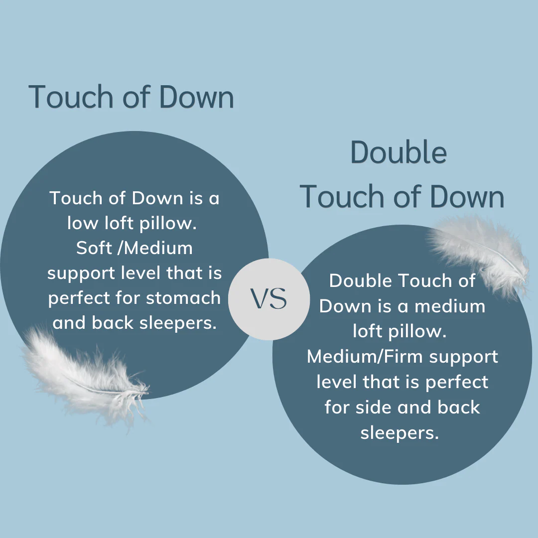 Pacific Coast Feather Double Touch of Down Pillow - Image 3