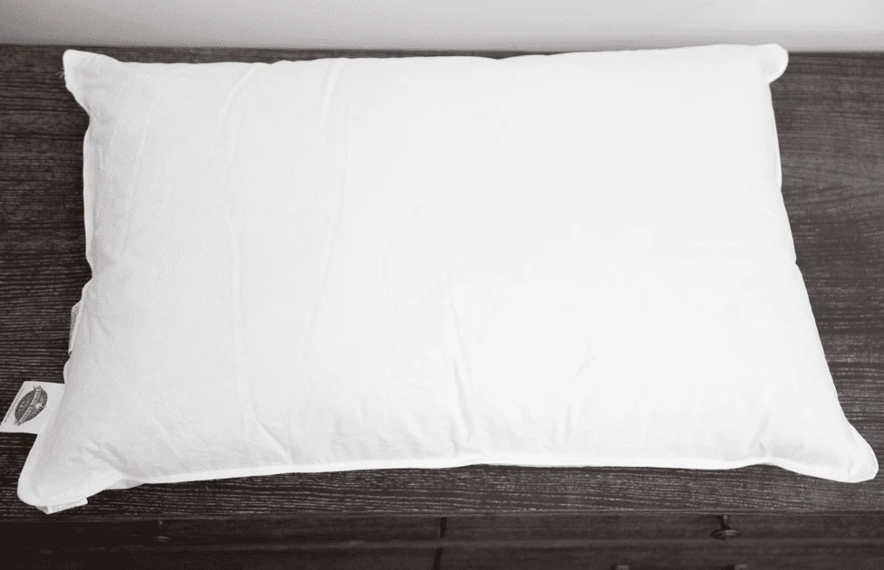 Pacific Coast Feather Touch of Down Pillow - Image 6