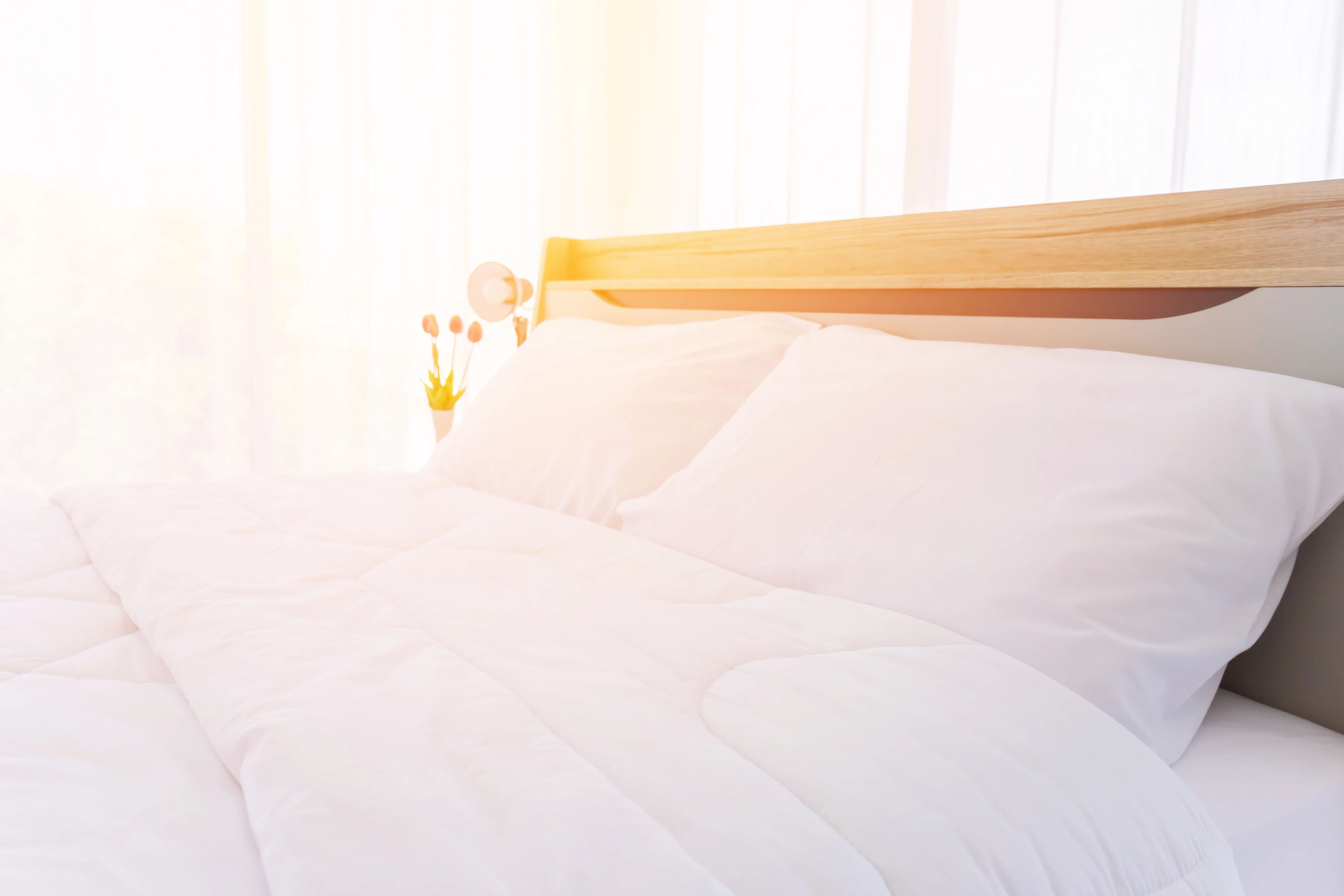 Pillowtex Pillowcases (2 Pack) 80% Cotton 20% Polyester | 300TC - Image 2