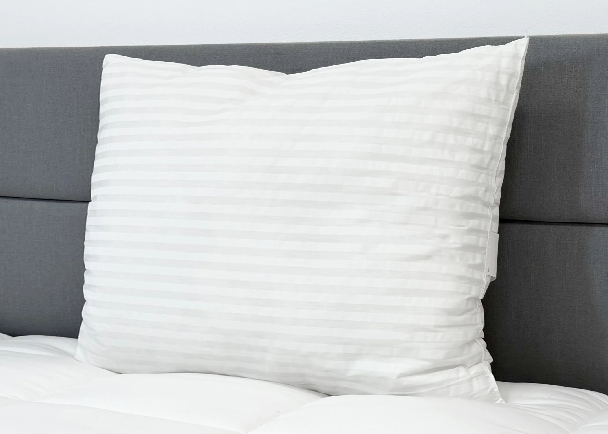 Pillow Factory Comforel Pillow, Featured at Sheraton Hotels - Image 6