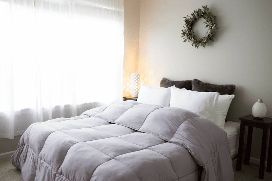 Pillowtex Essential Bedding Package | All Season Comforter with Matching Pillows - Image 4