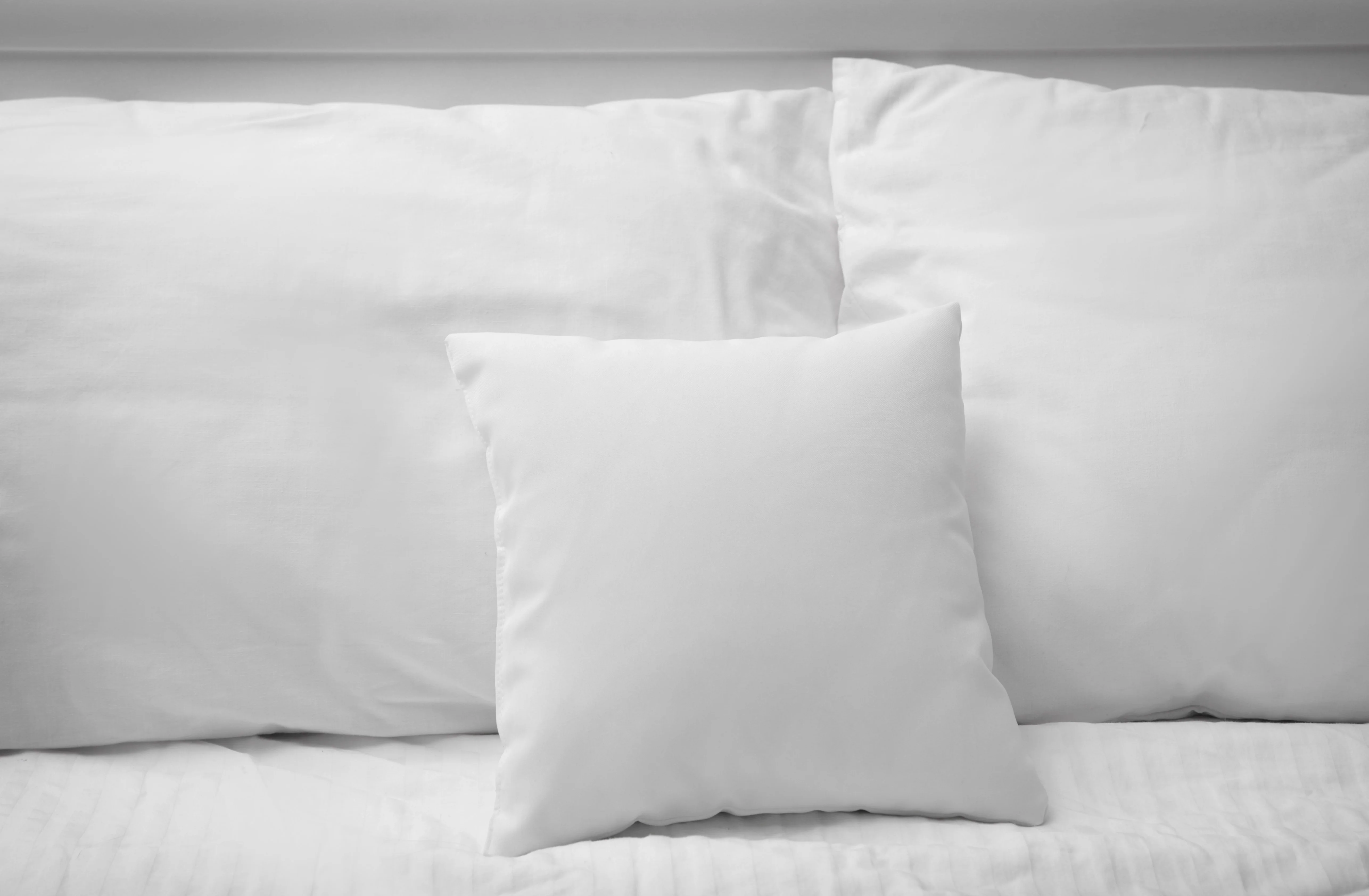 Pillowtex Pillow Insert | Polyester - Image 3