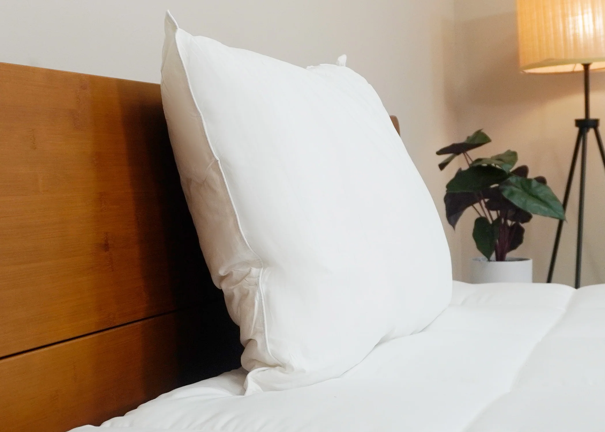 Pillowtex Like Down Pillow - Image 3