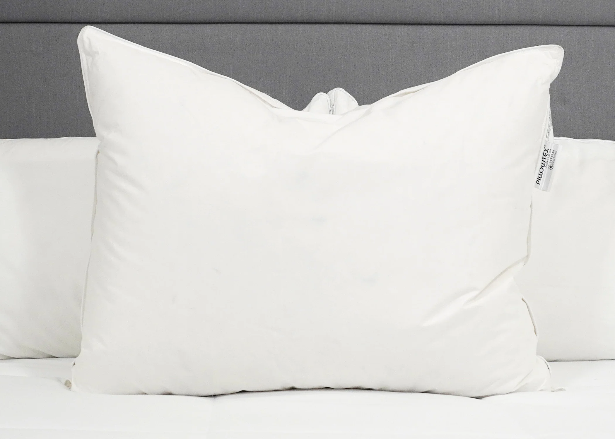 Pillowtex High End White Goose Down Pillow | 50% Feather/50% Down
