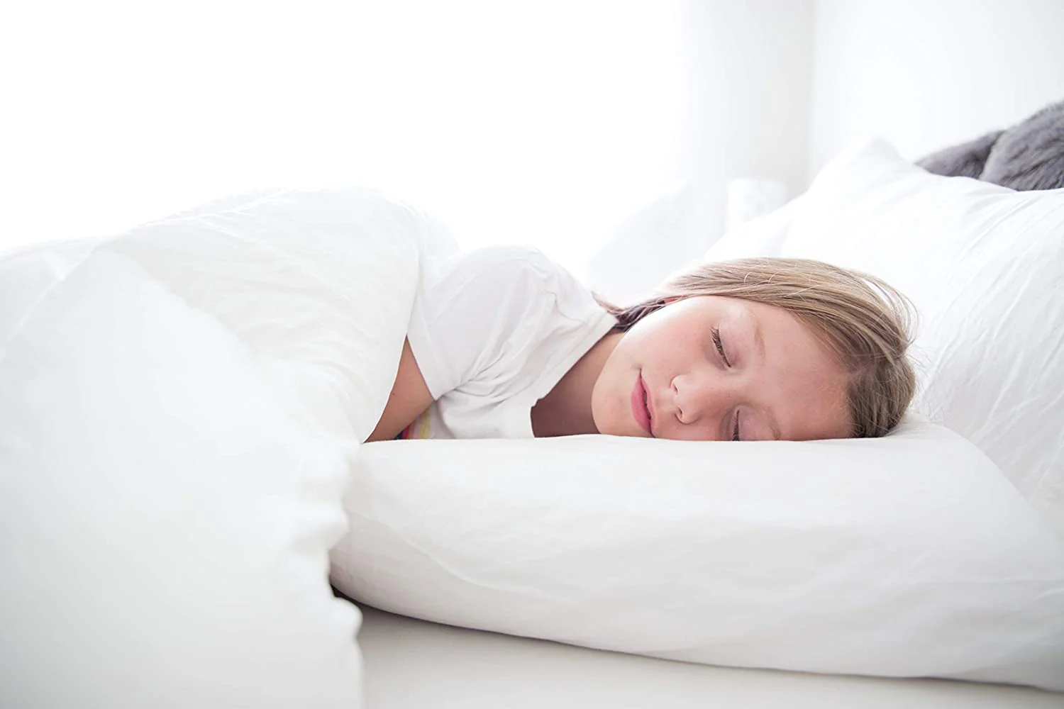 Pillowtex High End White Goose Down Pillow | 50% Feather/50% Down - Image 6