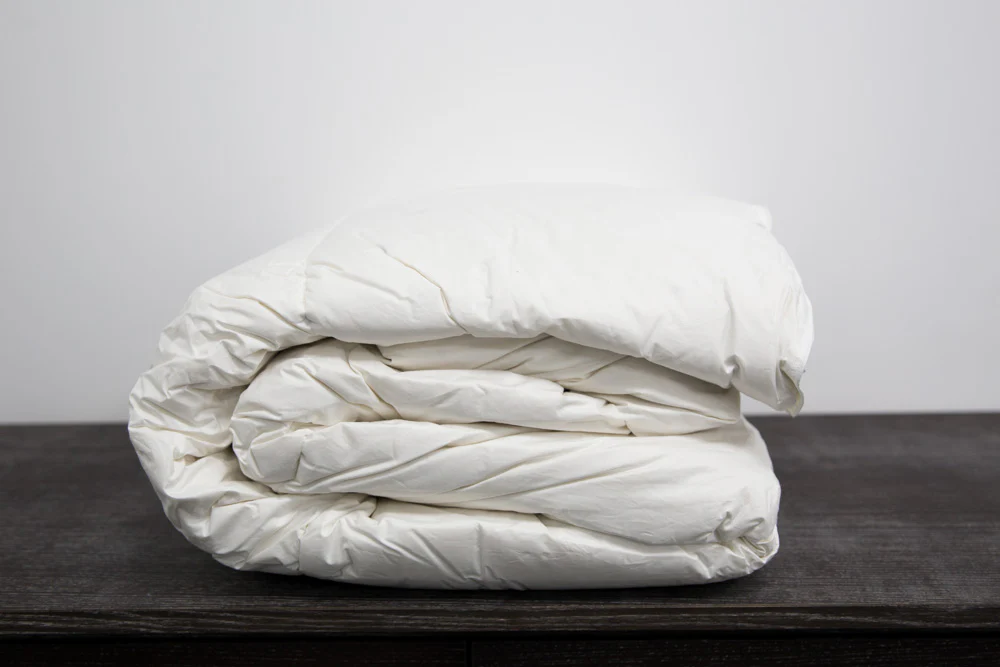 Pillowtex High End Down Comforter - Image 2