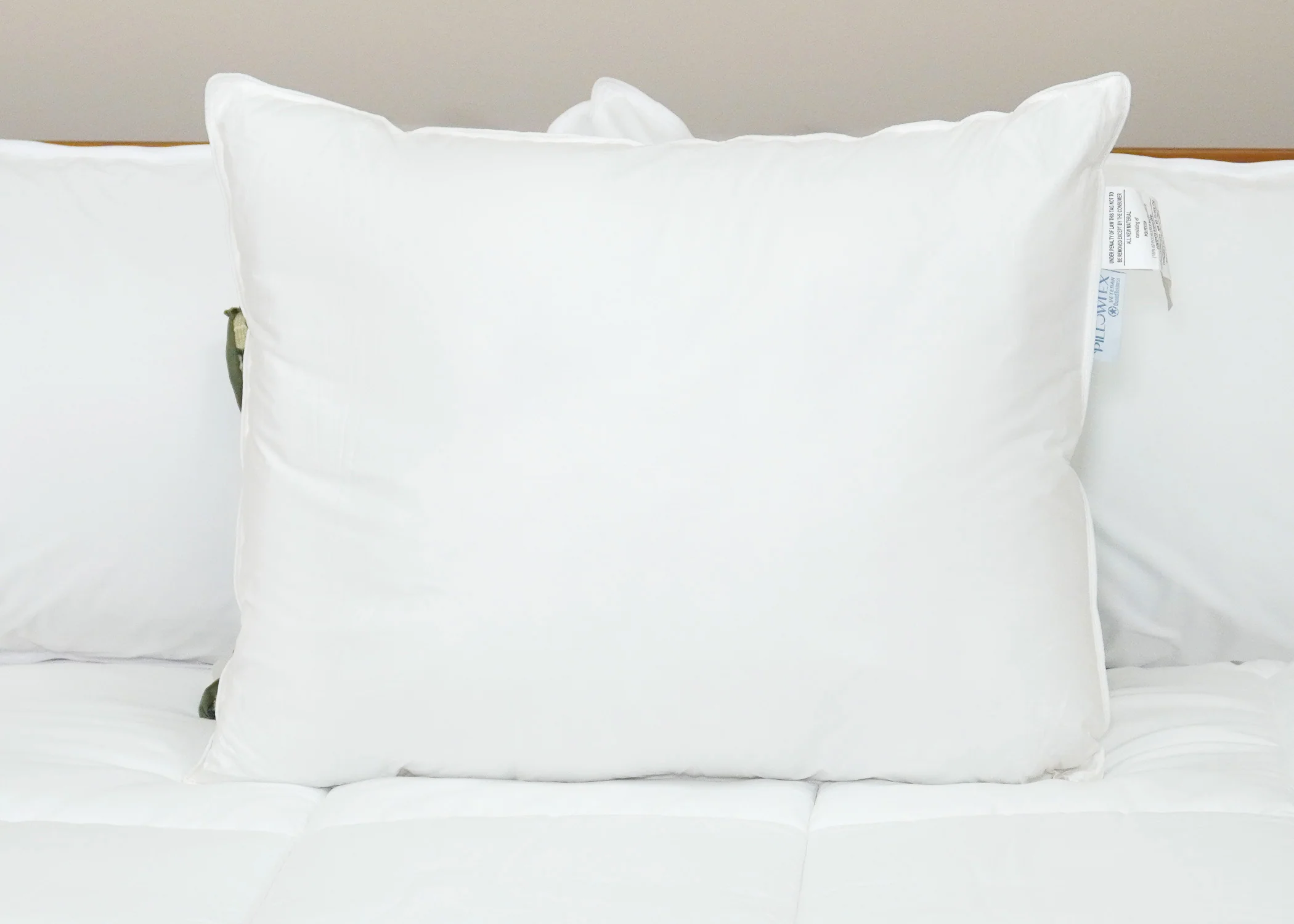 Pillowtex Premium Polyester Pillow | Extra Firm